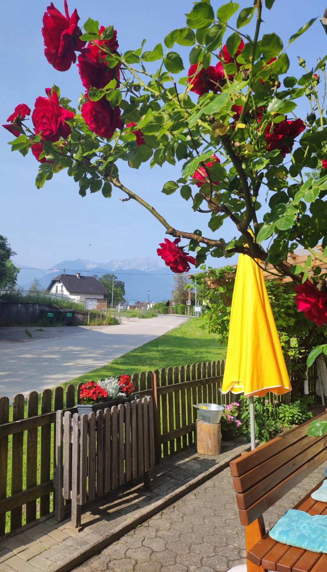 Haus Primosch Séjour chez l'habitant *