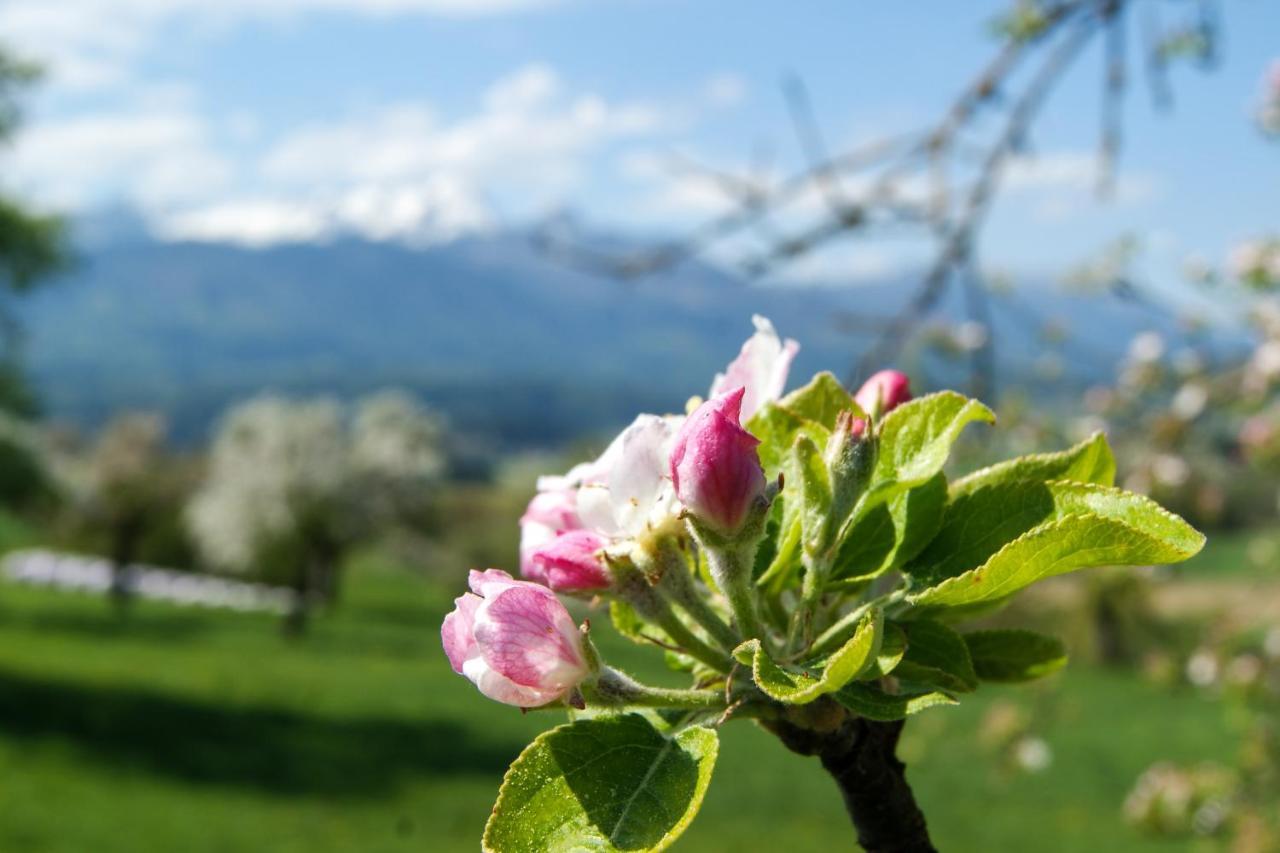 Haus Primosch * Schiefling am See