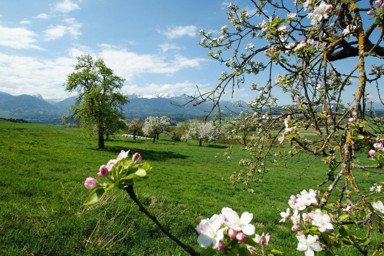 Haus Primosch